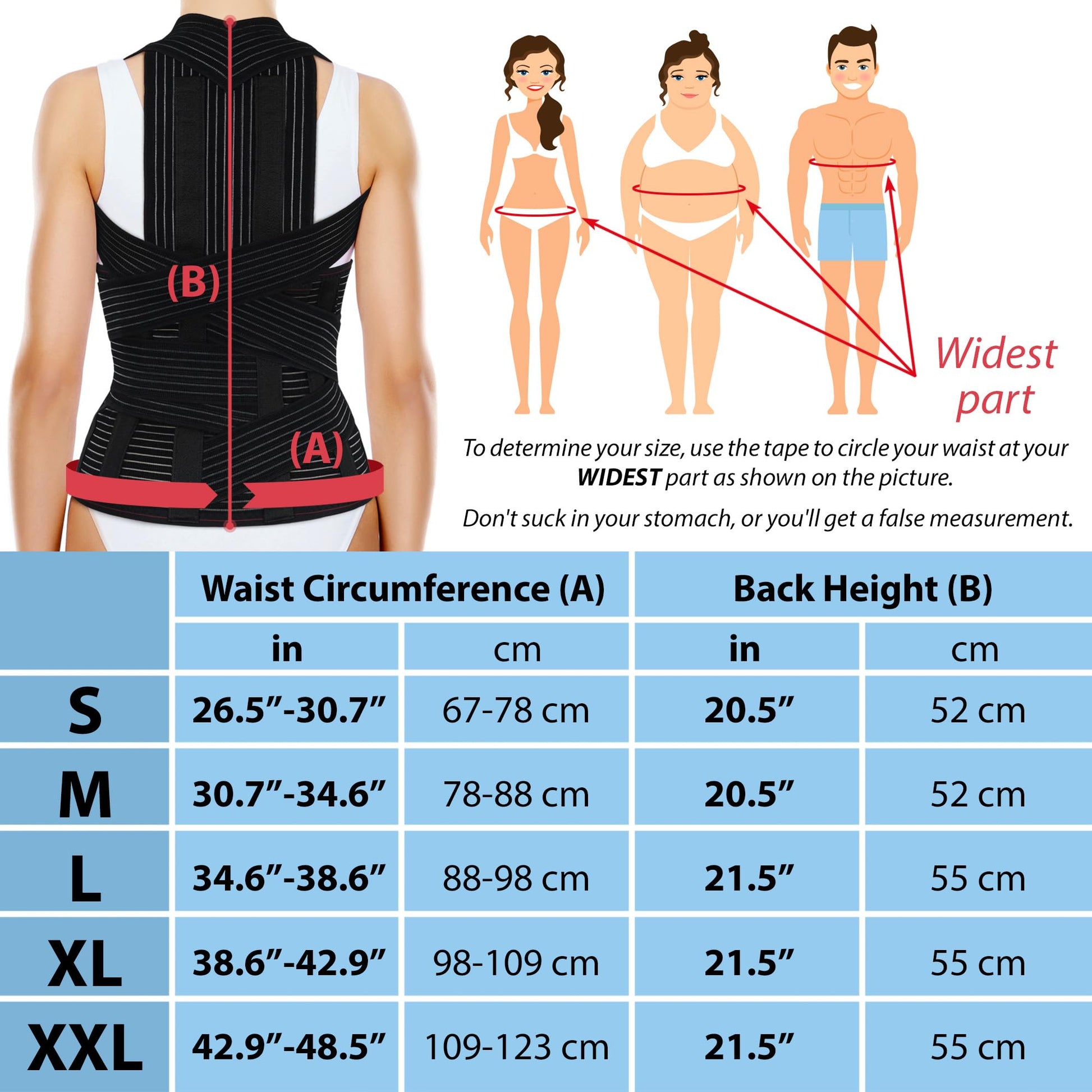 ORTONYX TLSO brace dorsolumbar posture corrector rear view; metal stays, cross straps; size chart + waist measurement guide