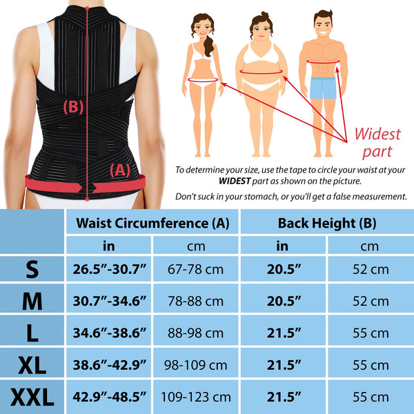 ORTONYX TLSO brace dorsolumbar posture corrector rear view; metal stays, cross straps; size chart + waist measurement guide