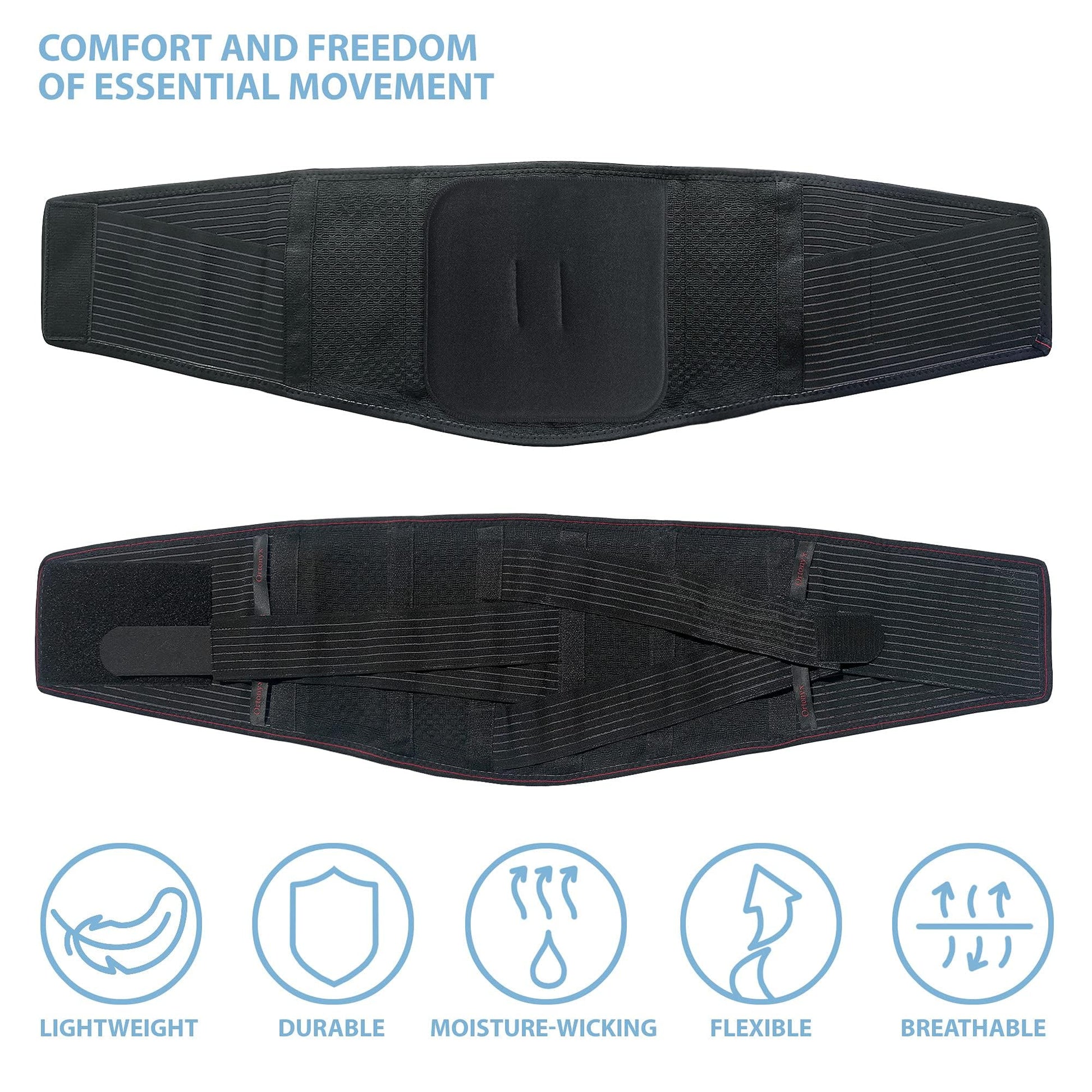 Lumbar Support Belt Back Brace - Breathable, Ergonomic Lumbosacral Back Brace for Men and Women product image